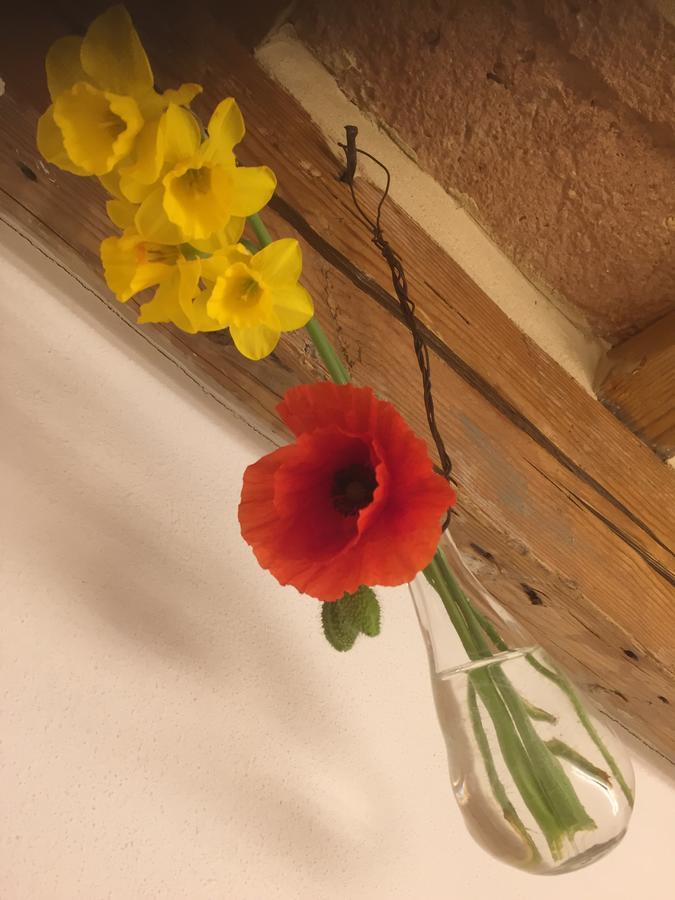 イェージ Tabano Ristorante-Casolare Bed & Breakfast エクステリア 写真